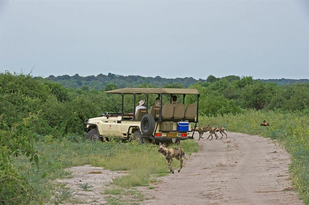 Sanctuary Chobe Chilwero Hotel Kasane Bagian luar foto